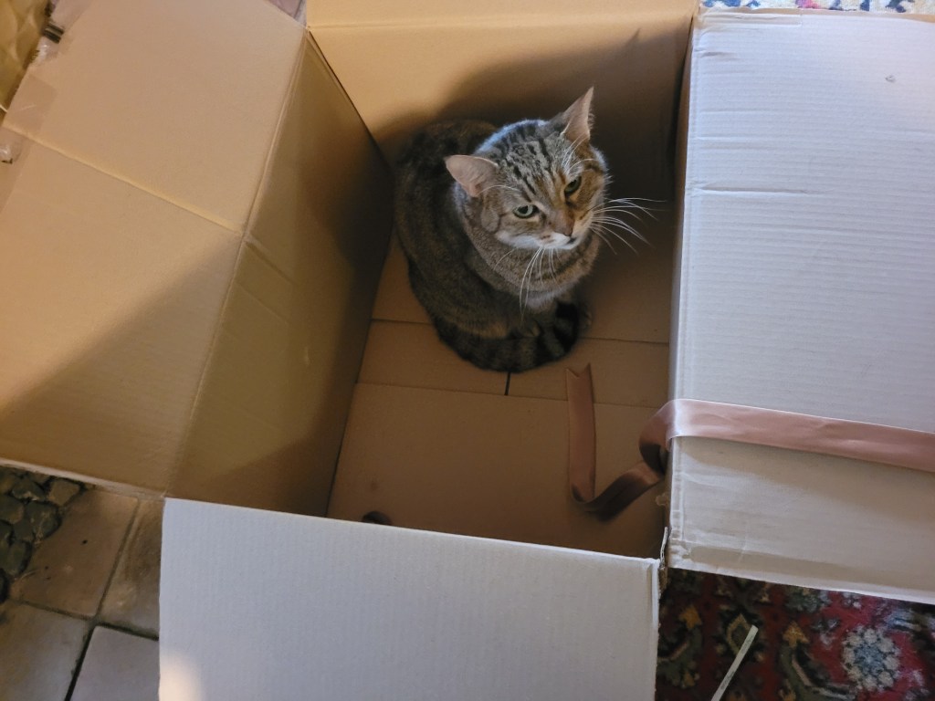 December 2025 (Deathmas)&nbsp;Update