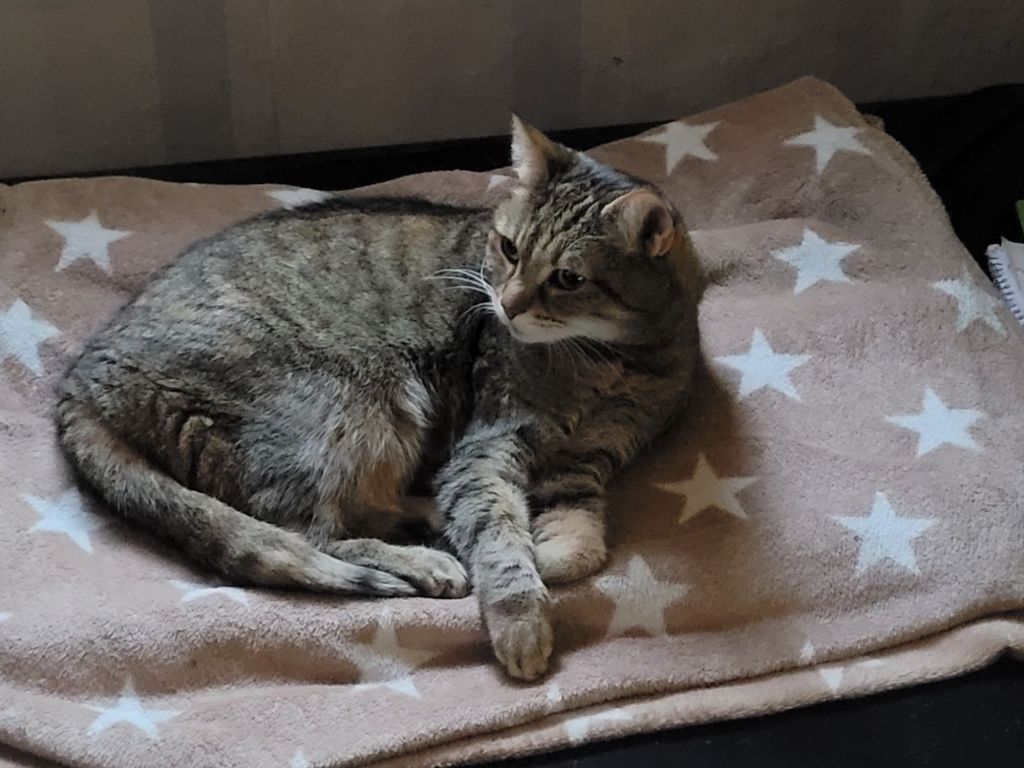 Pre-Black Friday Check-In